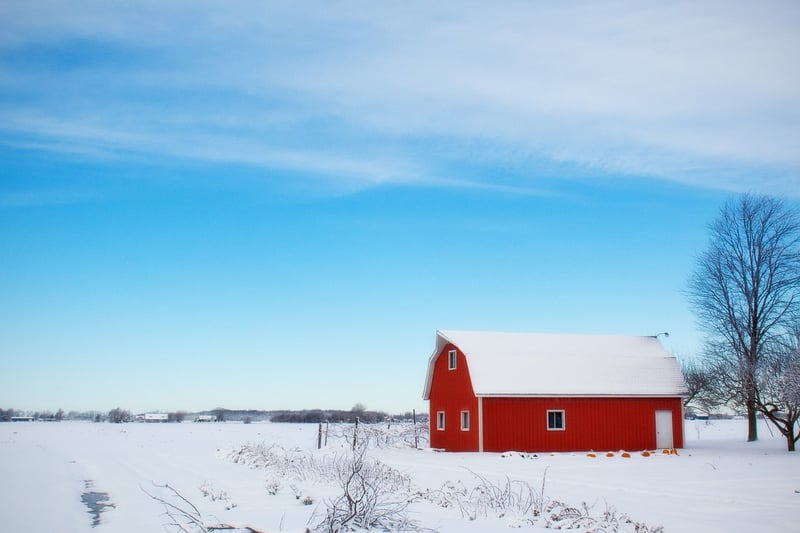 The Oak Tree Farm